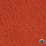 Moqueta Continua Tufted - Attica